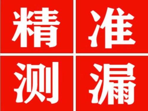 辰溪尚嘉漏水精准查找
